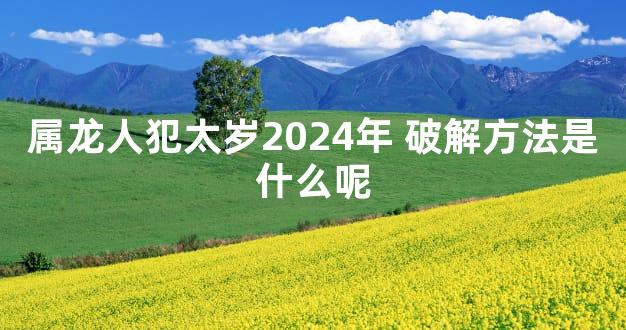 属龙人犯太岁2024年 破解方法是什么呢